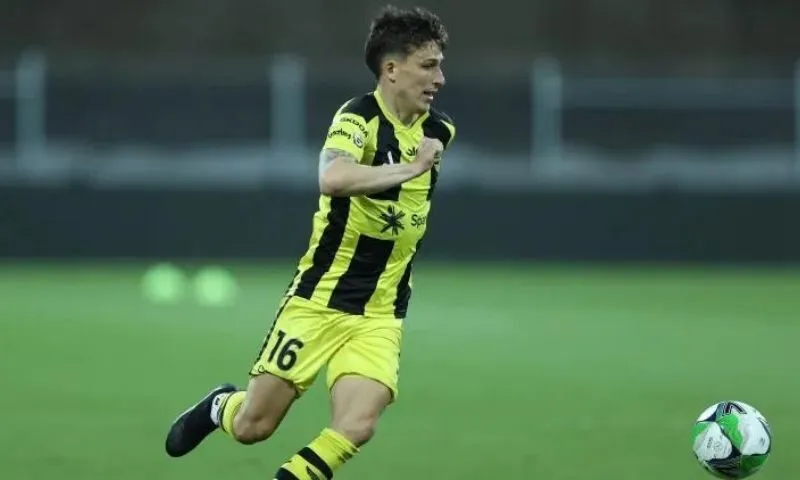 Thành tích tại Wellington Phoenix