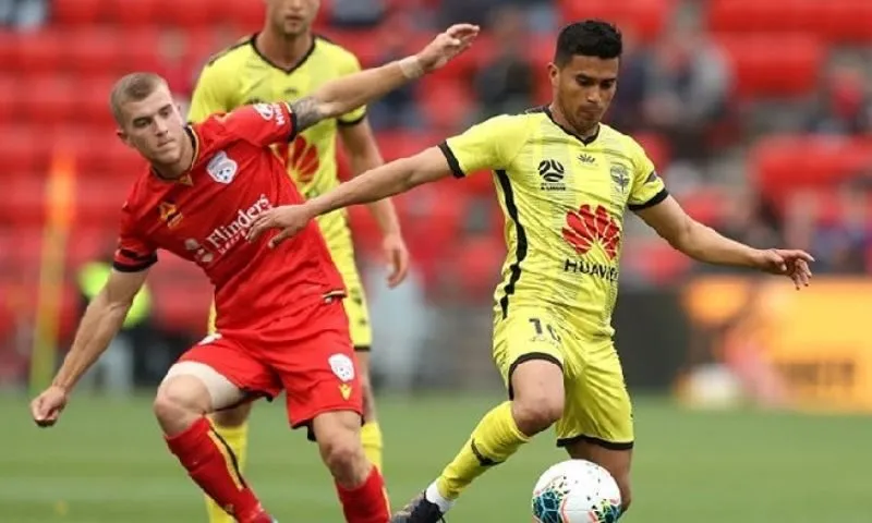 Giới thiệu chung về số liệu thống kê về Wellington Phoenix FC gặp câu lạc bộ bóng đá Adelaide United