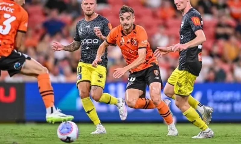 Giới thiệu chung về số liệu thống kê về Wellington Phoenix FC gặp câu lạc bộ bóng đá Brisbane Roar